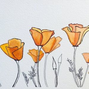 Meet your Posher, Porter